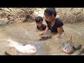 Wow Big Fish! catch many fish in river and cooking for jungle food eating delicious