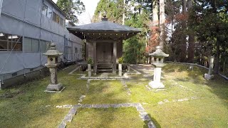 鬼の霊木と竜宮たる比叡山延暦寺の水神 酒呑童子 - WisdomMingle.com