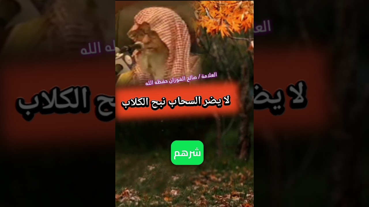أفضل رد قد تسمعه للعلامة صالح الفوزان على من يقدحون في الصحابه رضي الله عنهم