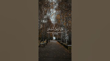 #قران_كريم #راحة_نفسية #تلاوة_خاشعة #اكسبلور #اكسبلور_explore #دويتو #duet