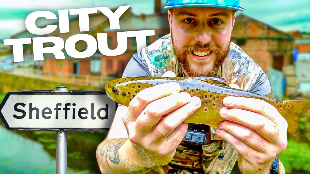 I Went Lure Fishing in Sheffield's City Centre…