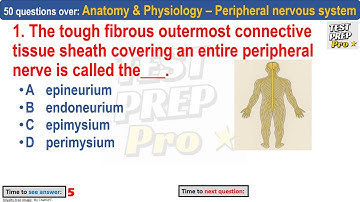 50 Peripheral nervous system practice questions by professor | PNS MCQs |  #peripheralnervoussystem