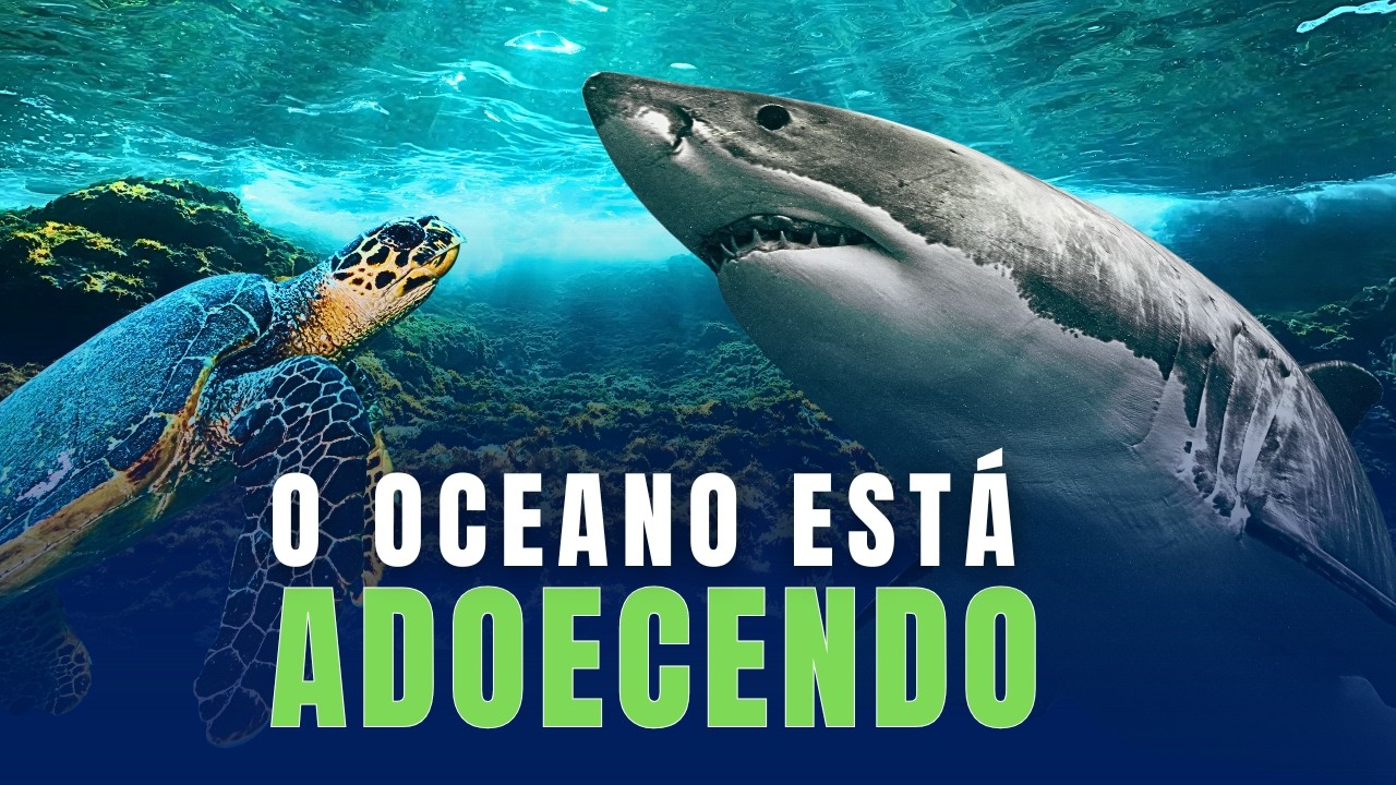 ENQUANTO O OCEANO ADOECE, QUASE NINGUÉM PERCEBE O QUE PODE SE PERDER