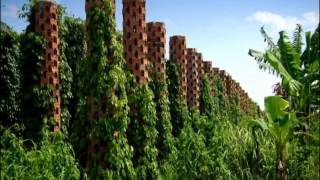 Starling Farm - E Trip Cambodia - Black Pepper