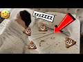 I POOPED WHILE IN BED PRANK ON GIRLFRIEND | REACTION |