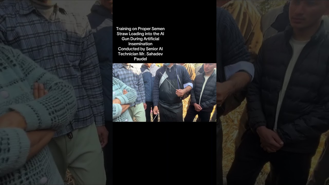 AI Training on Proper Semen Straw Loading 