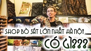 Shop Bò Sát Lớn Và Lâu Đời Nhất Hà Nội có gì PHẦN 2- Việt Pet Garden Shop | WILDVN TV