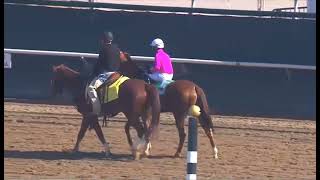 R2 DEL MAR 29 NOV 2025