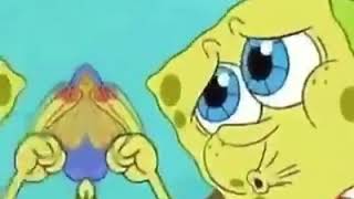 Story WhatsApp Spongebob 