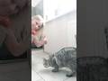 Выйграла в лотерее/Ksenukai/Ozols#josera#ksenukailatvija #cat