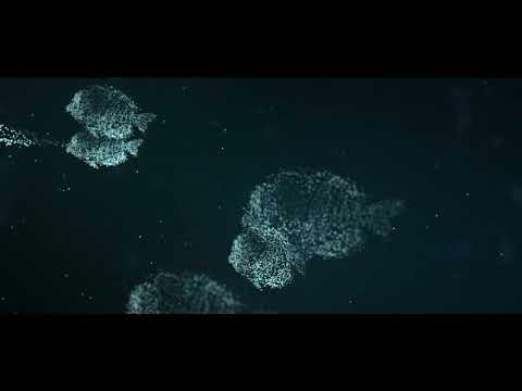 After Effects Trapcode Particle Animal
