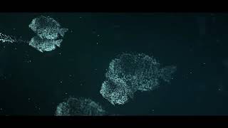 Famous After Effects Trapcode Particle Animal Wealth