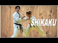 Shikaku les angles morts en karate  dojo naidokan