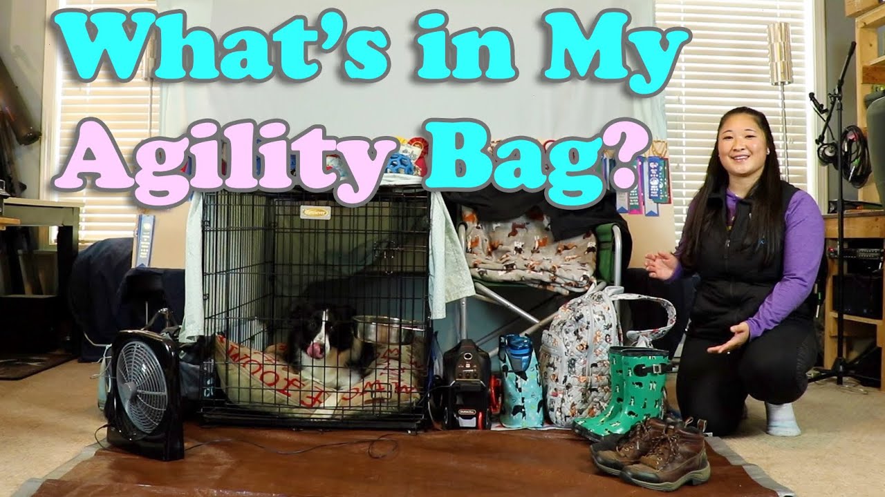 What's in My Bag | Everything I Bring to Agility Trials