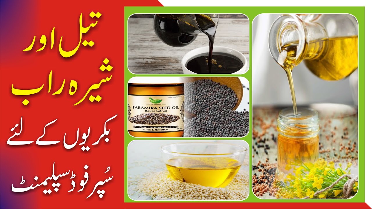 Oil and Molasses Super Food Supplement For Goat تیل اور شیرہ راب