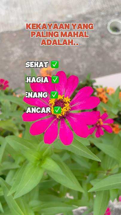 #health #kesehatan #quotes #foryou #fromkatabijak #faktaunik #faktamenarik #islamicstatus