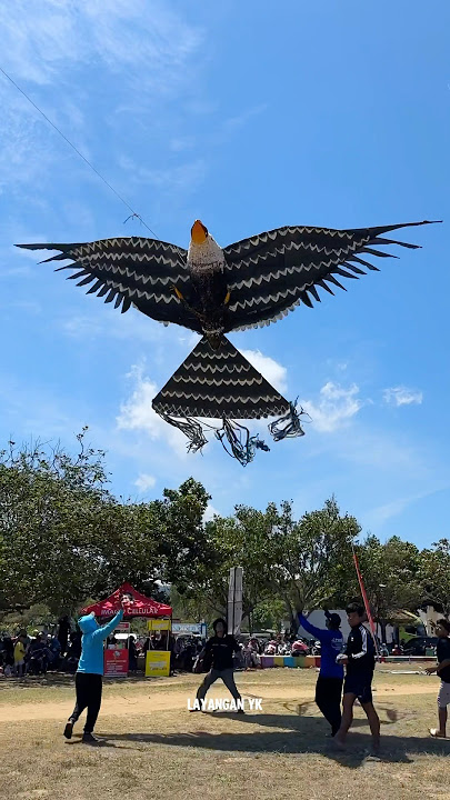 Penurunan Layangan Unik Burung Elang #layangan