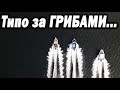 Типо за ГРИБАМи. На лодках. ЖУРАФЕСТ. Начало