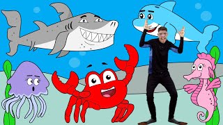 Sea Creatures Song | Learn Ocean Animals For Children | Adam Tree TV Sea Creatures Song | Learn Ocean Animals For Children | Adam Tree TV