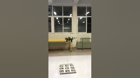 Quadrotor autonomous position hold  and  precise landing using downward camera.