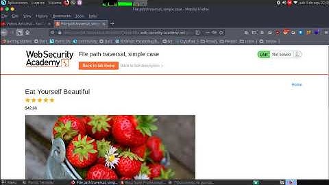 File path traversal, simple case