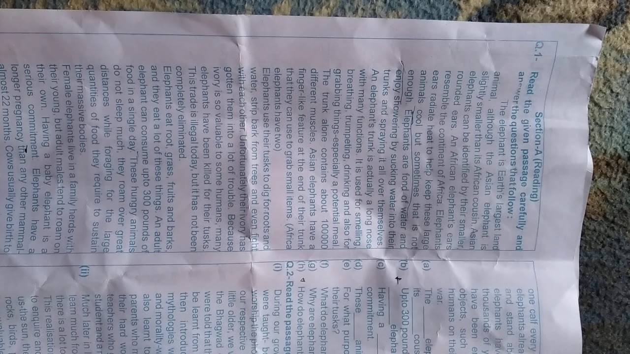 Class 9 English Sample Paper Of English YouTube