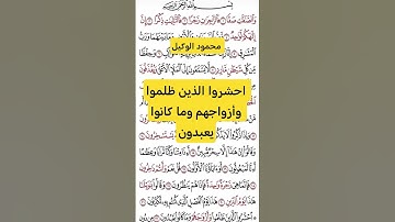 الذين ظلموا#قران #قرآن #الصافات  #تلاوات_خاشعة #اكسبلور #المنشاوي #الوكيل #خشوع #راحة_نفسية #fypシ
