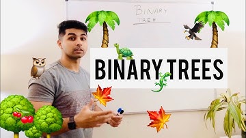Binary Tree Interview Bootcamp: Binary Search Tree , Insertion & Find