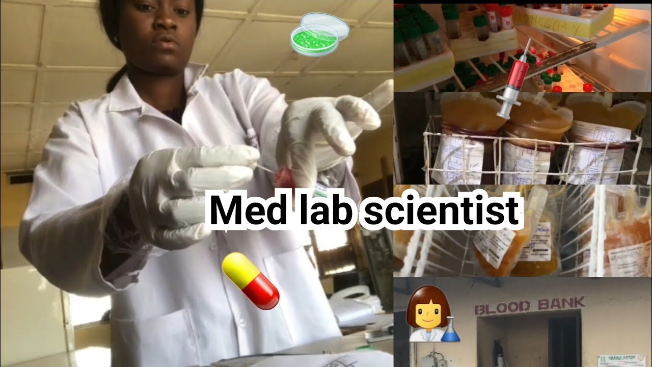 A Day In The Life Of A Med Lab Scientist In The Blood Bank YouTube