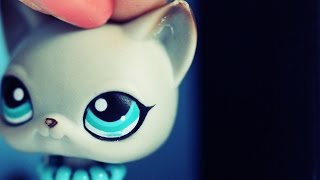 LPS: Different Kind (Episode #12)