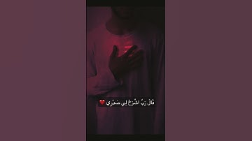 {قَالَ رَبِّ اشْرَحْ لِي صَدْرِي}|سورة طه|#القارئ _شريف_مصطفى #قران_كريم