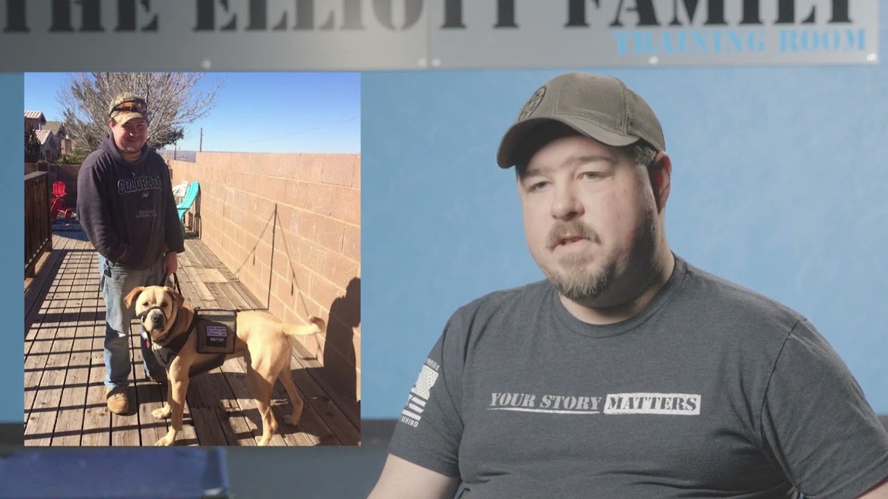 Celebrating 15 years of Paws and Stripes - Our Impact