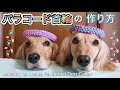 パラコード首輪の編み方/作り方 How to make a Paracord Dog Collar 犬グッズDIY