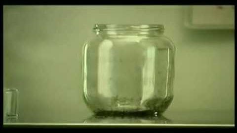 Fleas in a jar similarity in fleas and human behaviour