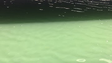 Simon Williams - Lightfold (loopop contest entry)