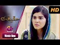 Janwar - Haqeeqat | Aplus Dramas | Zainab Shabbir, Arsalan Asad Butt, Arsalan Raja | Pakistani Drama