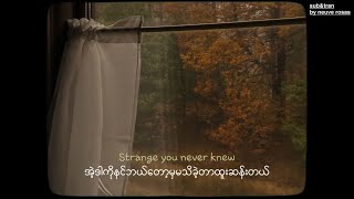 🌙 🕯️ Mazzy Star • Fade Into You | mmsub lyrics