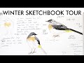 Winter Sketchbook Tour January February 2021   Birds and more