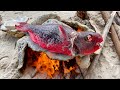 Rare parrot cooking on hot rocks