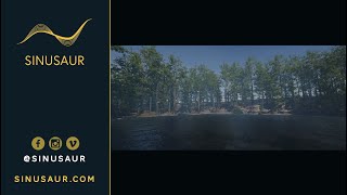 Game Audio Example 4: Nature Ambiences with FMOD & Unity