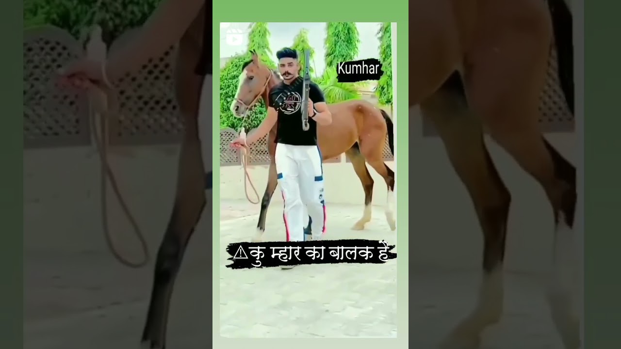 Prajapati new haryanavi song 