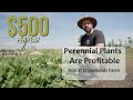 How to make 500 selling sour on your permaculture property  sweet