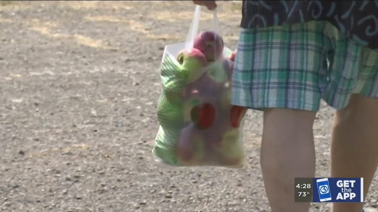 VIDEO: Orchards put protocols in place to keep guests safe while apple picking