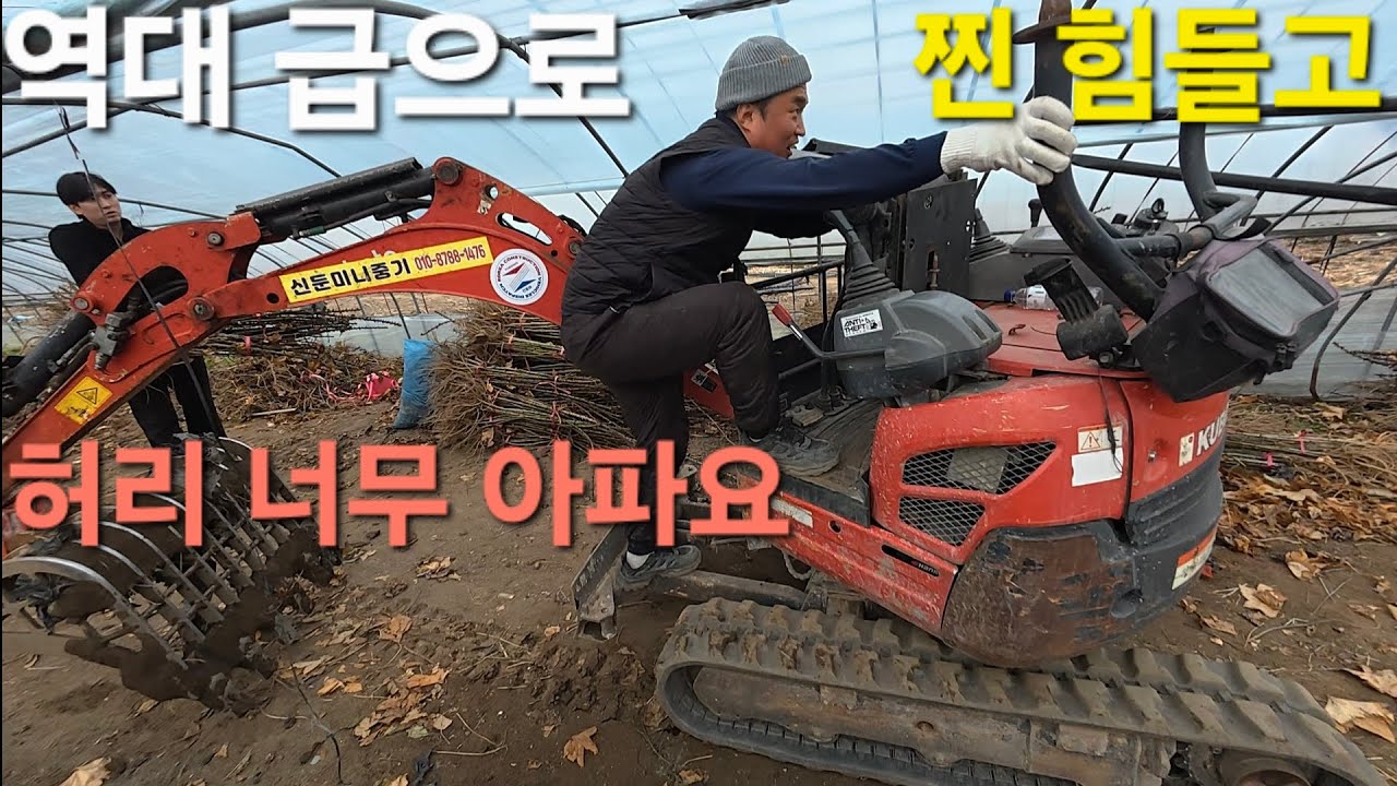 와 비닐하우스가 역대급으로 낮아요 바가지만 움직여서 작업했어요^^;  ( 미니굴삭기 017 )#미니굴삭기 #미니포크레인 #xcavator #excavator #굴삭기 #굴착기 