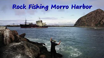 Rock Fishing Morro Harbor: Coconut Rock Fish and Shrimp. Rock Fishing Morro Harbor: Coconut Rock Fish and Shrimp.