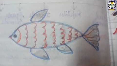 Class 5 I Science I Chapter 2 I Animal and Their Varying Lifestyle