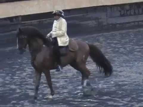 Arturo Ruiz Loredo demostracion de alta escuela en...