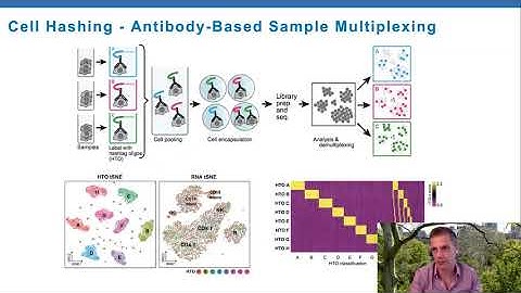 Highly multimodal measurements of single cells | Peter Smibert | SCP2020