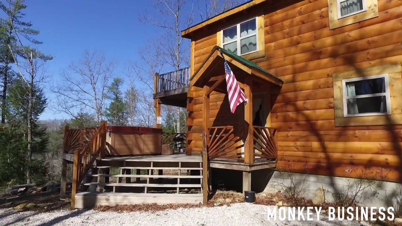 Image showcasing Serious Monkey Business Brand Review Our Honest Review