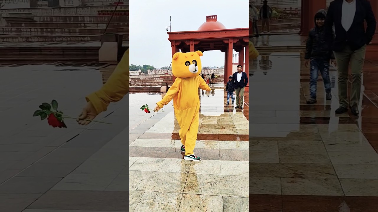 teddy love mood 💞 